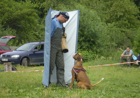 Training in Estonia 6/2007